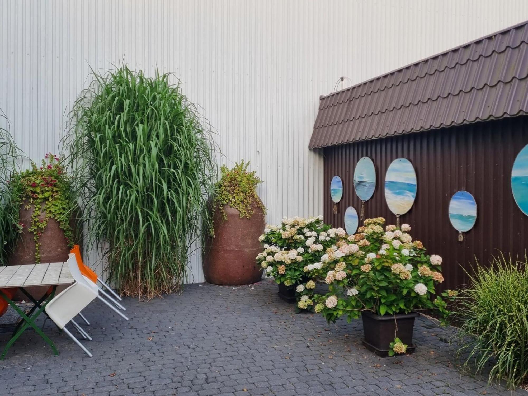 Comfortable Holiday Homes Close To Sea, Grzybowo Grzybowo  Exteriér fotografie